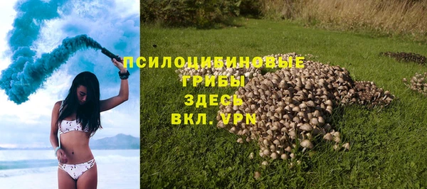 2c-b Алексин
