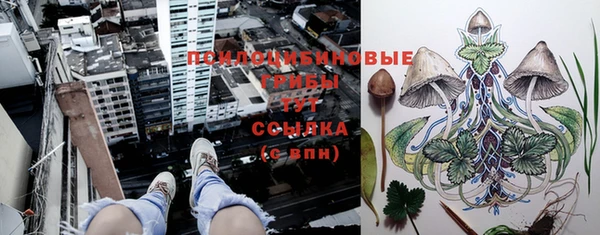 2c-b Алексин
