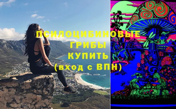 стафф Алексеевка