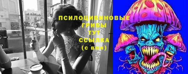 молекула духа Алзамай