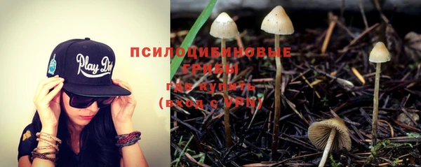 молекула духа Алзамай