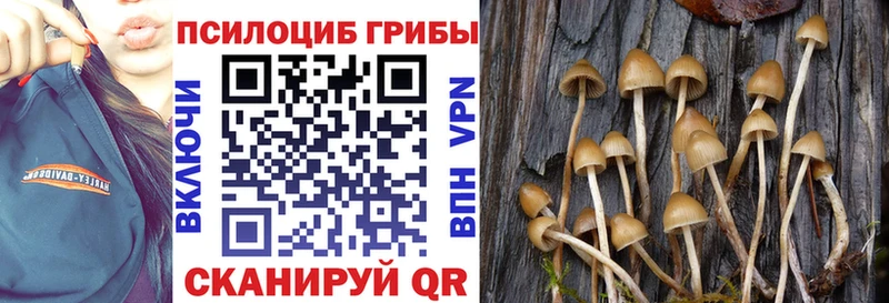 Псилоцибиновые грибы Psilocybine cubensis  где продают   Краснослободск 